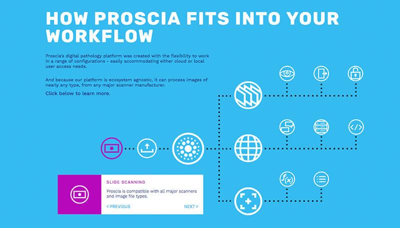 Proscia Workflow diagram